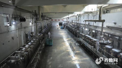 濰坊市坊子區(qū)食品安全產(chǎn)業(yè)聯(lián)盟 技術開發(fā)助力企業(yè)質(zhì)效提升，定向解難題200多項